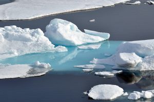 Miljøgifter og klimaendringer i Arktis