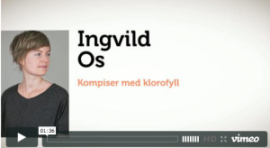 Bli kompis med klorofyll