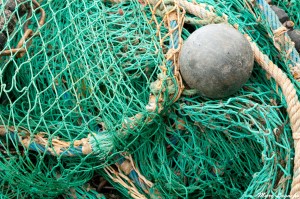 Fiskegarn. Foto-Marc Lagneu