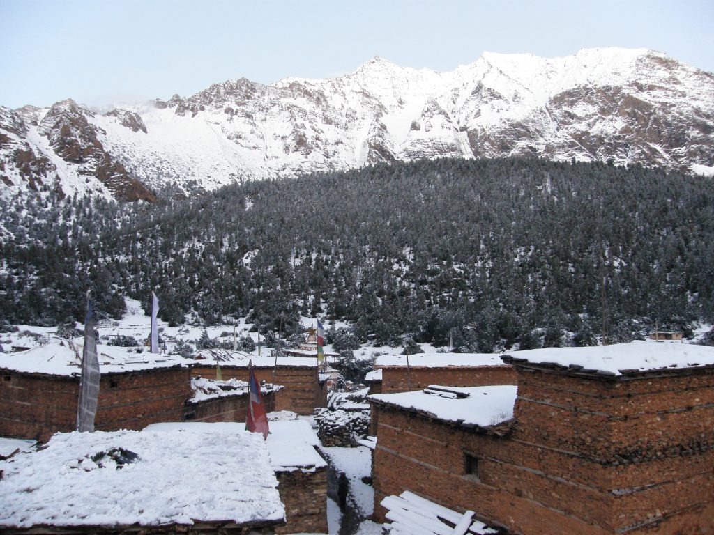 Dronningskogen. Foto: Roy-Arne Varsi