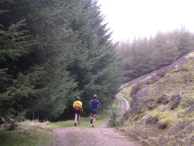 The_Track_to_Black_Linn_Reservoir_-_geograph.org.uk_-_161183