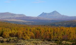 Kommunereformen er utfordrende for utkantkommuner