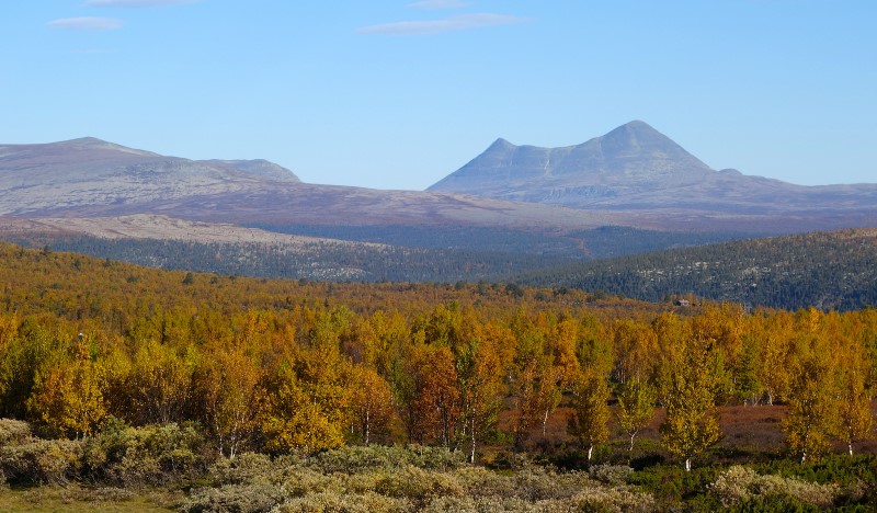 Stor-Elvdal natur fjell utmark